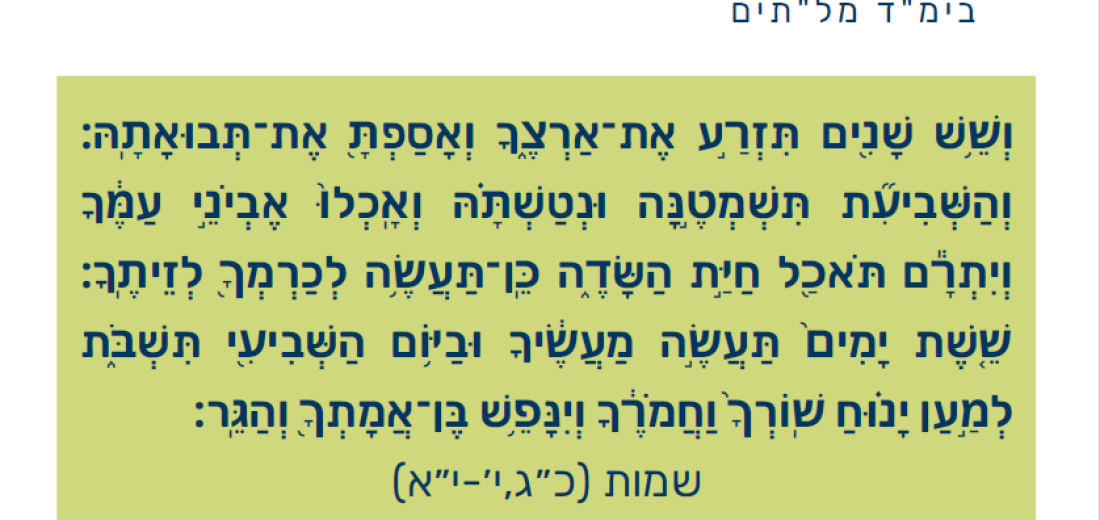 שמיטה – בית מדרש מל"תים