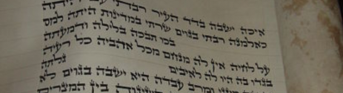 מה לחפש בחופש?
