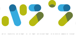 גוגיה