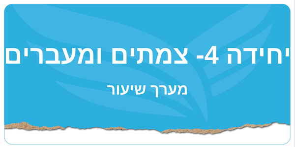 יחידה 4- צמתים ומעברים 