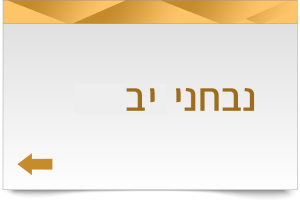 נבחני יב