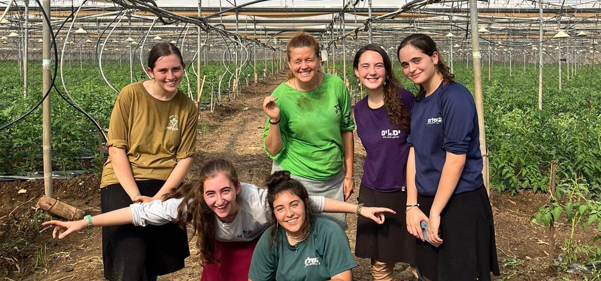 תלמידו אולפנת אמית חיפה מתגייסות להצלת החקלאים