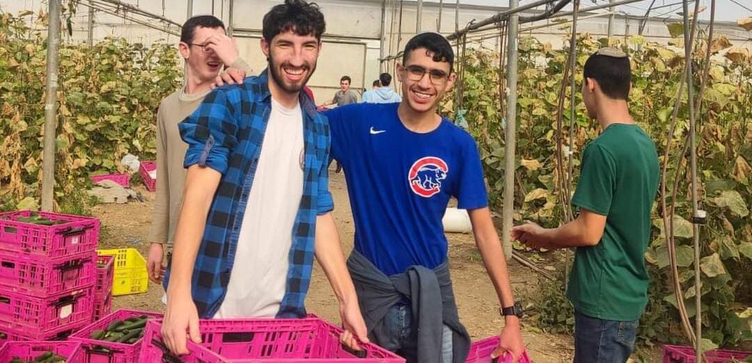 תלמידים תומכים מסייעים לחקלאים הישראלים