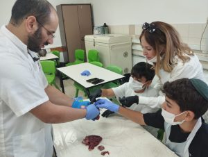 כשמדע, רגש וערכים נפגשים בניתוח לב פתוח