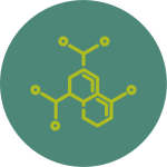 ביוטכנולוגיה